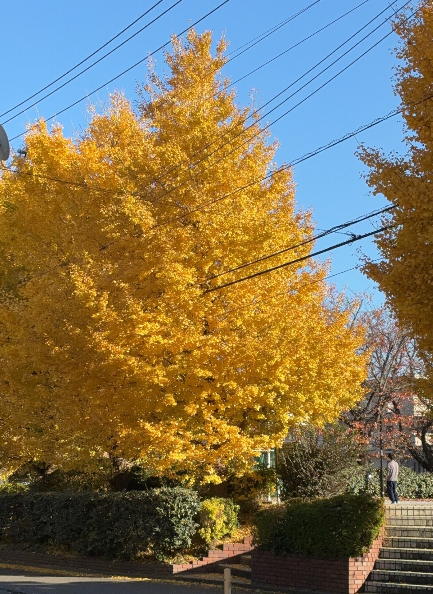 千葉県八千代緑が丘　きものあそび裕　着物出張着付け